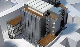 The Boston Consulting Group, Milano, 2006-2009